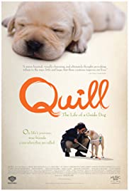 ดูหนังออนไลน์ Quill The Life of a Guide Dog (2004) โฮ่ง (ฮับ) เจ้าตัวเนี้ยซี้